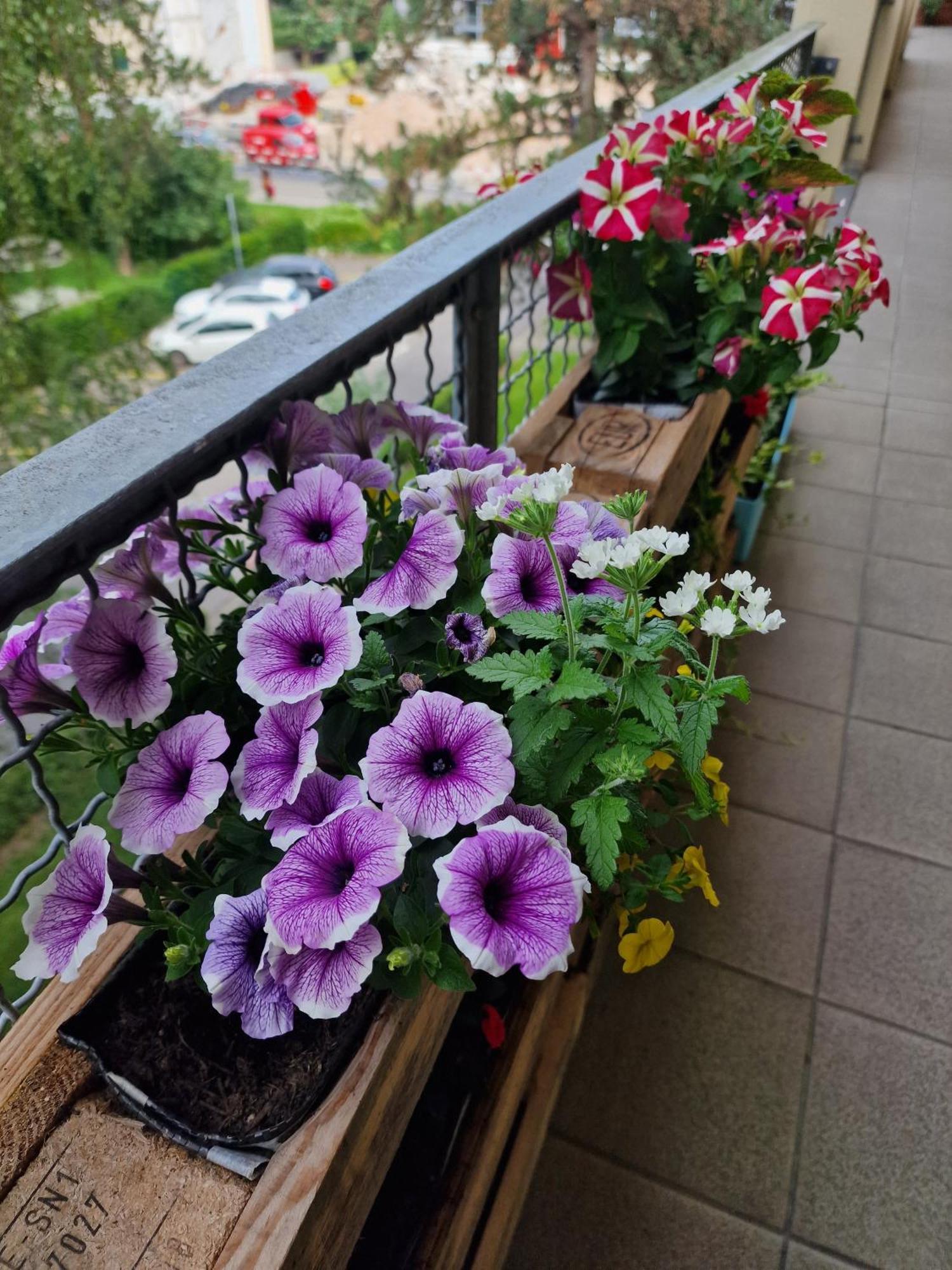 Doppelzimmer Bei Natur & Events Basel Exterior foto
